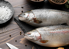 ФАС проверит цены на рыбную продукцию ФАС проверит цены на рыбную продукцию