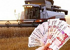 Семейным фермам возместят часть затрат