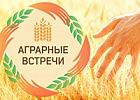 Эксперты обсудят проблемы сибирского колоса Эксперты обсудят проблемы сибирского колоса