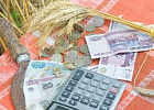 Кабмин изменил правила возмещения банкам выпадающих доходов по льготным кредитам аграриям