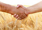 200 млн рублей направит Томская область на поддержку и развитие сельхозкооперативов 200 млн рублей направит Томская область на поддержку и развитие сельхозкооперативов