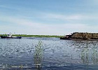 На самой северной молочной ферме томского региона идет заготовка кормов На самой северной молочной ферме томского региона идет заготовка кормов