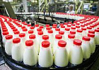 Объём реализации молока в сельхозорганизациях вырос на 2,6%