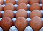 Страсти по пластику: нужно ли менять упаковку пищевых продуктов Страсти по пластику: нужно ли менять упаковку пищевых продуктов