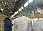 Новые партии томского рапсового масла и жмыха отправлены в Китай Новые партии томского рапсового масла и жмыха отправлены в Китай