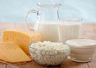 Роспотребнадзор предупредил о бруцеллезе в молочной продукции в США 