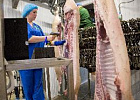 Свинокомплекс «Томский» возобновил выпуск продукции