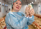 Вышел свежий номер журнала «Томский агровестник» Вышел свежий номер журнала «Томский агровестник»