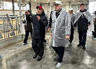 Губернатор Владимир Мазур дал старт работе животноводческого комплекса в Асиновском районе