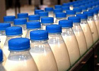 В России могут появиться «молокорастительные продукты» В России могут появиться «молокорастительные продукты»