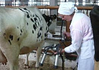 В рамках V Сельского схода в Томской области впервые вручат премию Губернатора за наивысший надой молока В рамках V Сельского схода в Томской области впервые вручат премию Губернатора за наивысший надой молока
