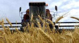 Закрома Родины: достаточно ли в России мощностей для хранения зерна